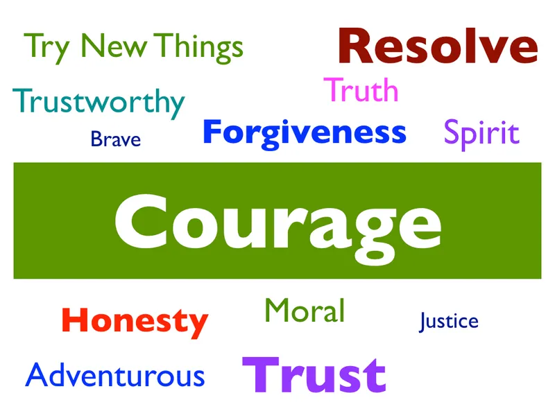 St Nics Values - image 3 St Nics Values - image 3