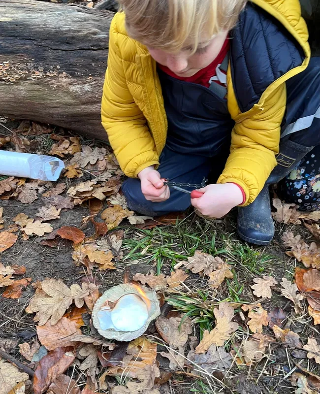 Gallery - created at 2022-12-06 12:52:57 - image 6