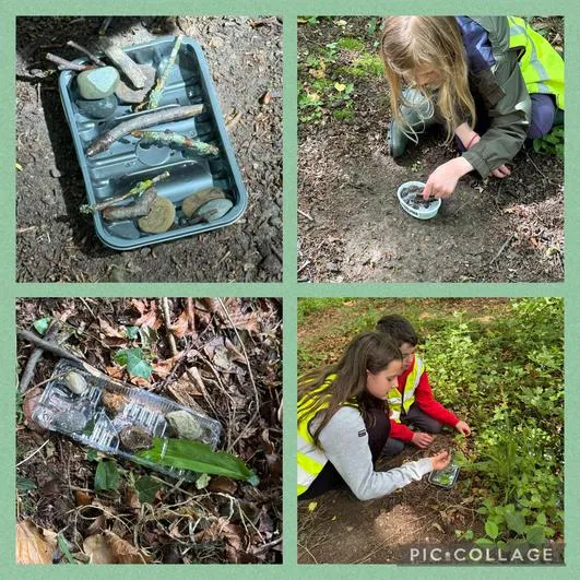 Forest School 3 - image 3 Forest School 3 - image 3