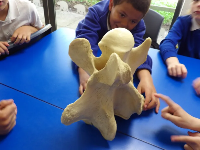 Y3 Yorkshire Wildlife Park Trip - image 44