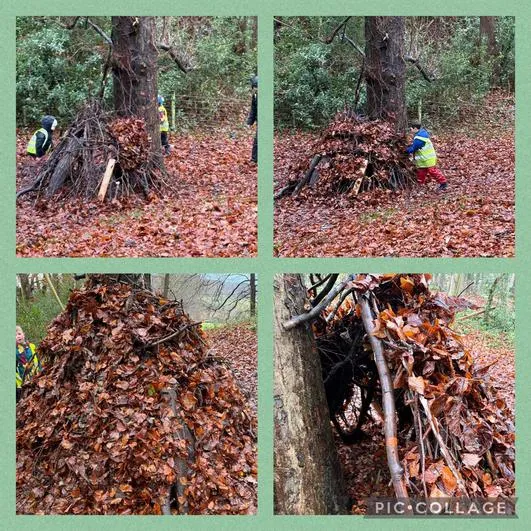 Forest School 23 - image 2 Forest School 23 - image 2