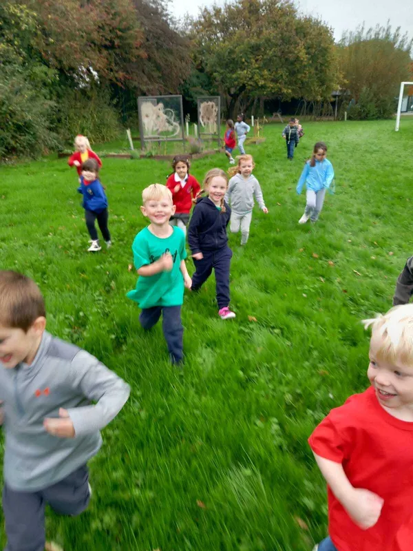 Gallery - created at 2025-10-20 11:33:38 - image 3 Gallery - created at 2025-10-20 11:33:38 - image 3