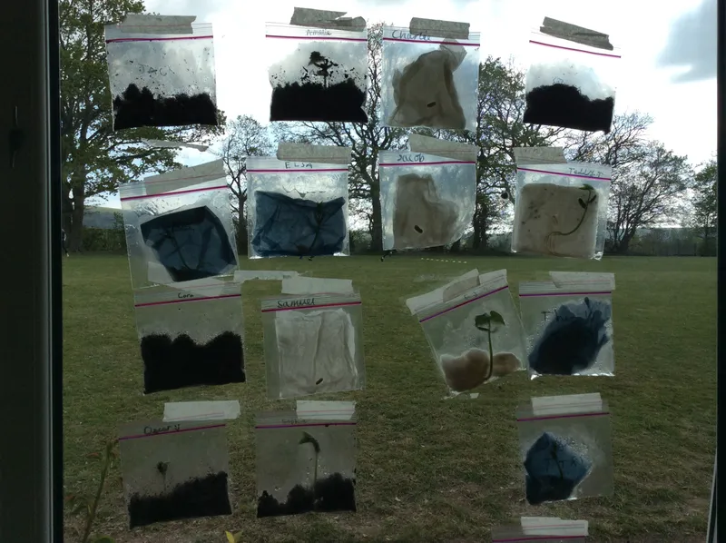 Science - image 1 Science - image 1