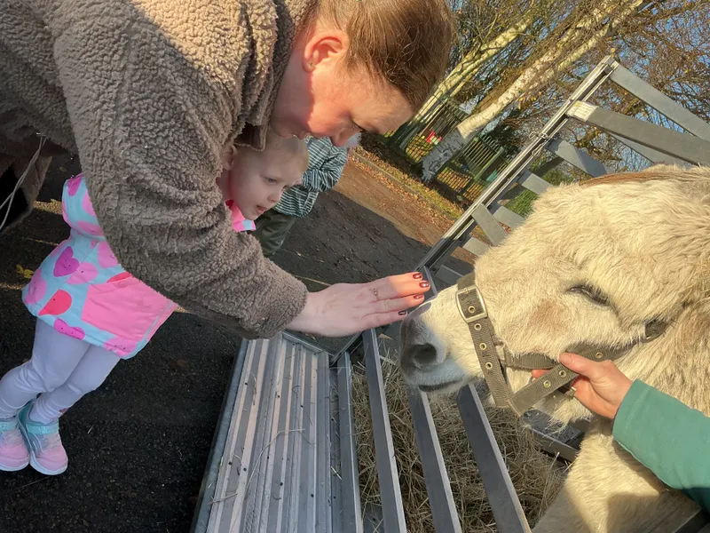 Explorers with Stella on Wheels  - image 35