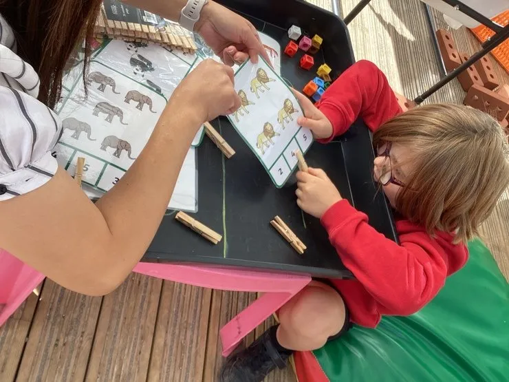 Maple Class - image 37