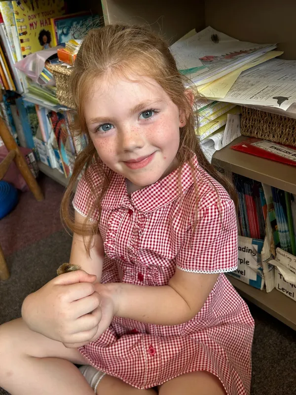 Gallery - created at 2025-05-15 20:09:46 - image 5