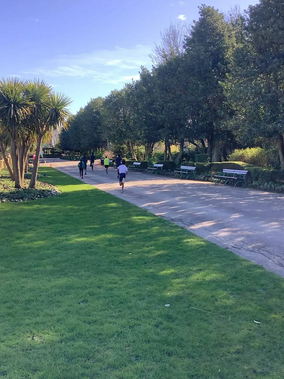 Park Run - image 1 Park Run - image 1