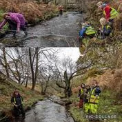 Forest School 55 - image 4 Forest School 55 - image 4