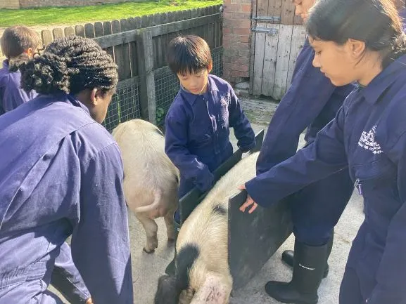 Farm 2025 - Gallery 3 - image 16