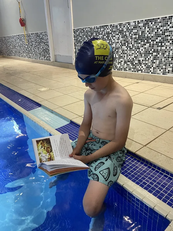 Gallery - created at 2023-06-24 17:46:32 - image 2 Gallery - created at 2023-06-24 17:46:32 - image 2