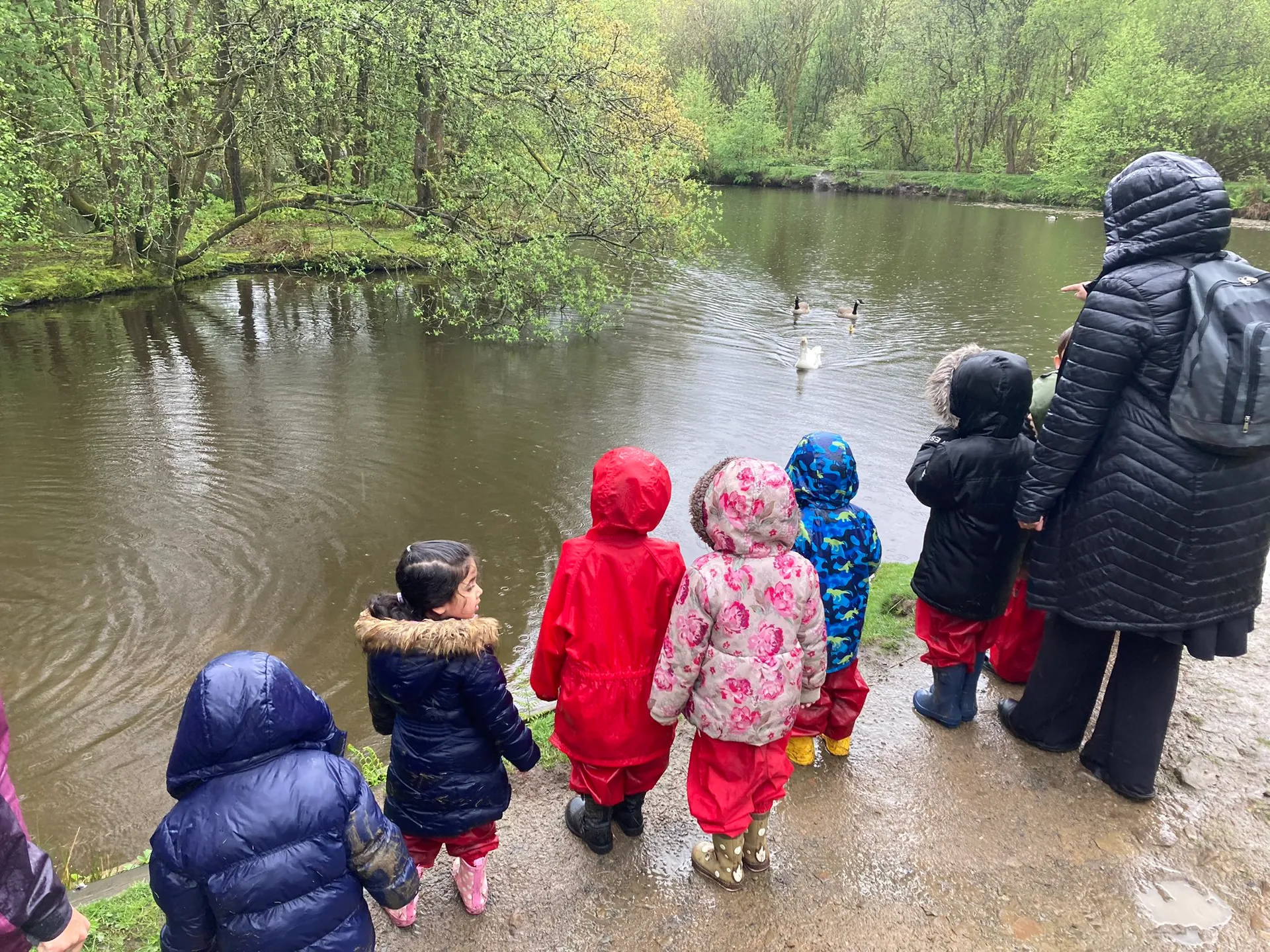 Healey Dell - image 11