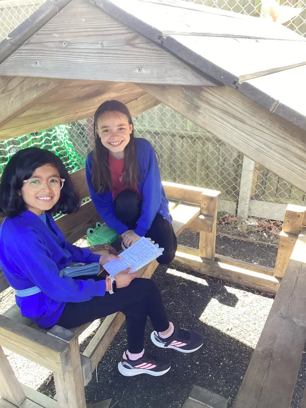 OPAL - image 6 OPAL - image 6