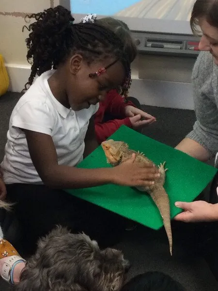 Reception 25 - image 2 Reception 25 - image 2