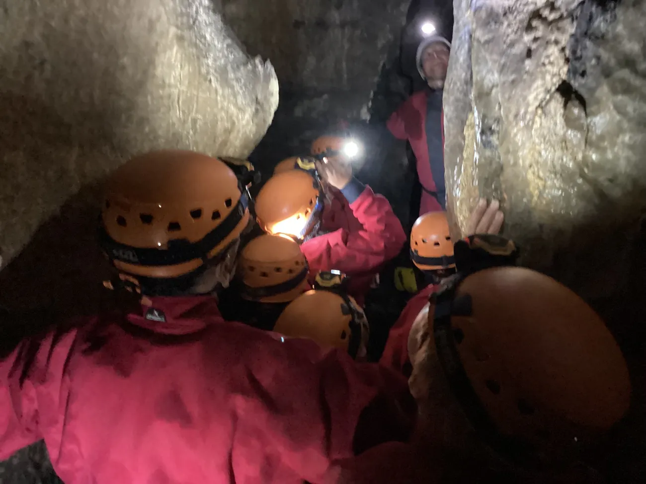 Gallery - created at 2024-09-19 19:43:35 - image 15 Gallery - created at 2024-09-19 19:43:35 - image 15