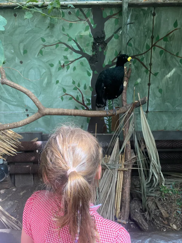 Gallery - created at 2025-06-20 13:57:48 - image 9