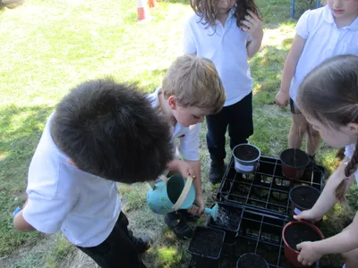 Planting - image 32