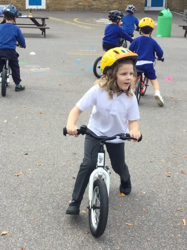 PE Gallery - image 4