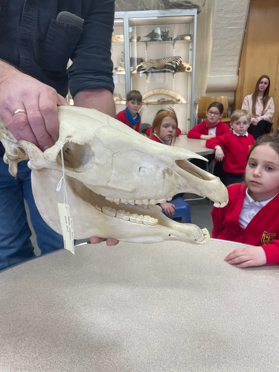 Gallery - created at 2024-02-24 14:03:51 - image 20