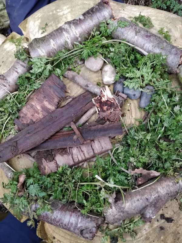Y3 Forest schools - image 6