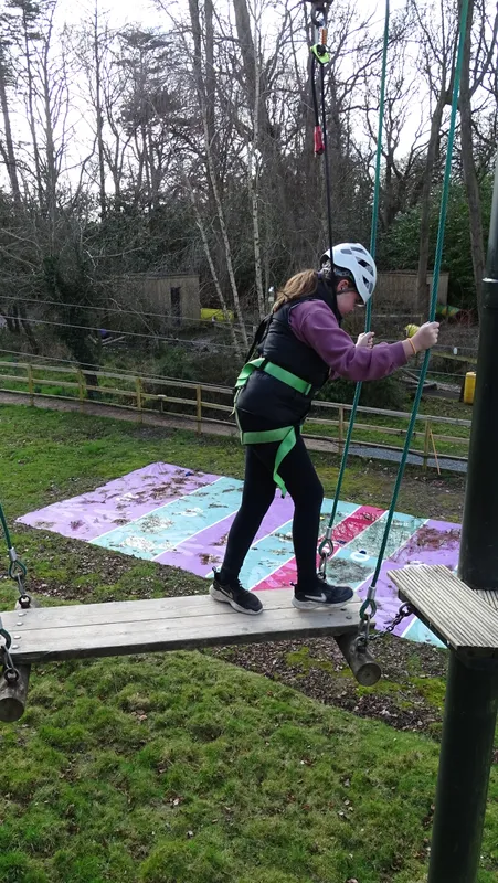 Spring Group - image 79