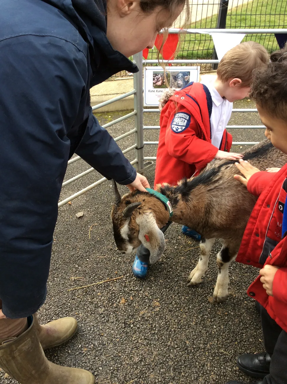 Gallery - created at 2022-03-04 13:11:52 - image 17