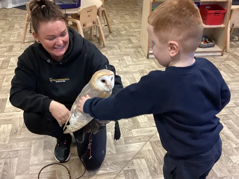 Owl visit - image 2 Owl visit - image 2