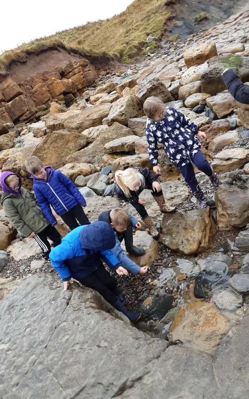 Gallery - created at 2024-10-11 14:26:20 - image 19 Gallery - created at 2024-10-11 14:26:20 - image 19