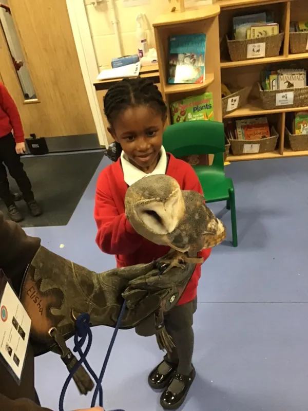 birds of prey year 1 25 - image 26 birds of prey year 1 25 - image 26