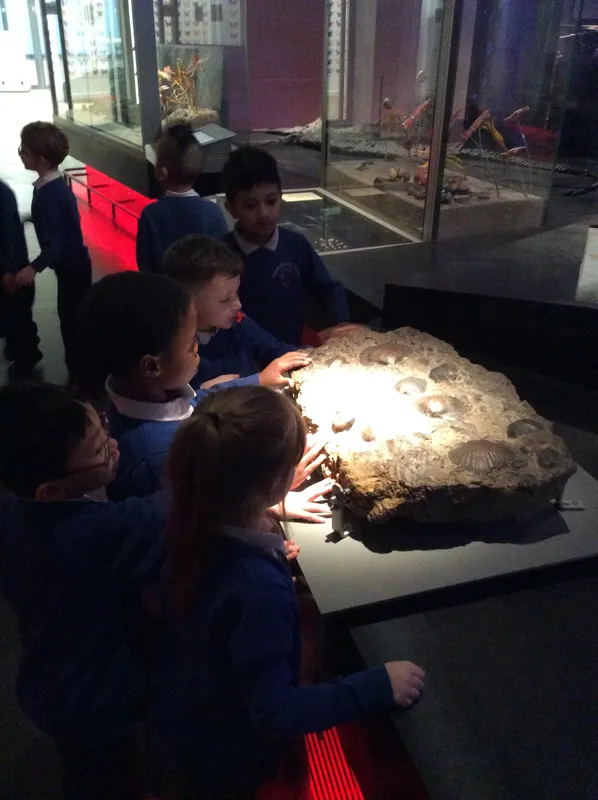 Gallery - created at 2024-02-09 11:53:37 - image 64