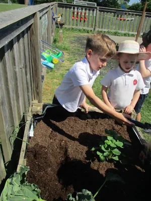 Planting - image 31