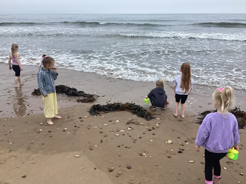 Gallery - created at 2024-07-16 16:31:53 - image 21