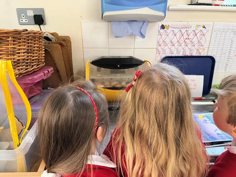 Gallery - created at 2023-05-05 11:29:48 - image 9