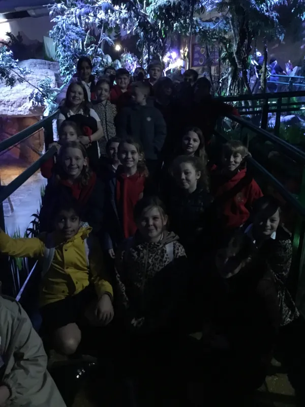 Year 5 Sealife Centre  - image 11