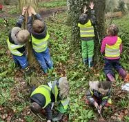 Forest School 75 - image 2 Forest School 75 - image 2