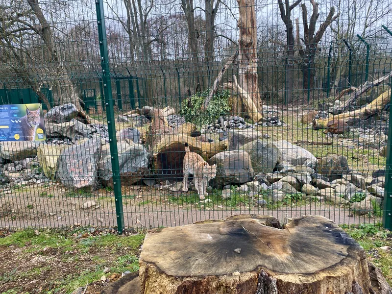 Gallery - created at 2023-02-28 20:50:59 - image 20 Gallery - created at 2023-02-28 20:50:59 - image 20