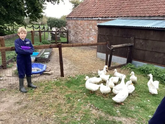 Farm 2025 - Gallery 3 - image 24