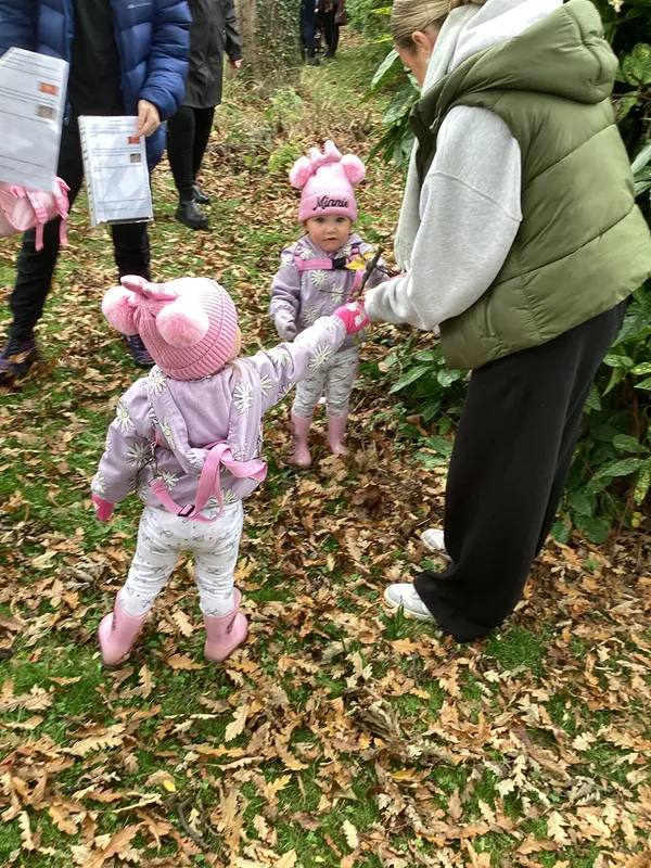 Gallery - created at 2024-11-08 10:10:59 - image 42 Gallery - created at 2024-11-08 10:10:59 - image 42