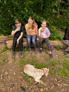 Gallery - created at 2023-06-27 16:41:06 - image 10