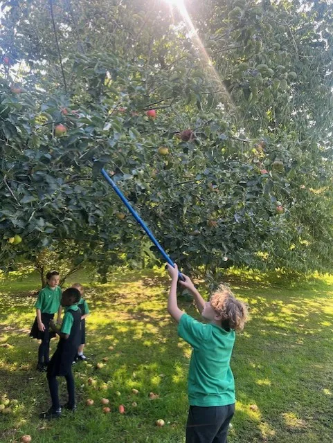 Apple Picking 2025 in Hendred House Garden - image 8