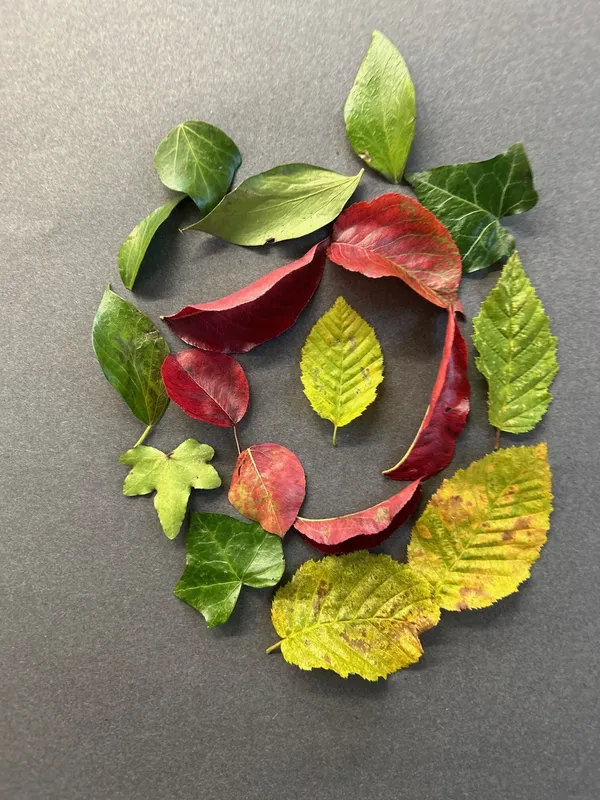 Gallery - created at 2024-11-15 12:36:22 - image 7