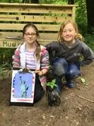 Forest School 99 - image 4 Forest School 99 - image 4