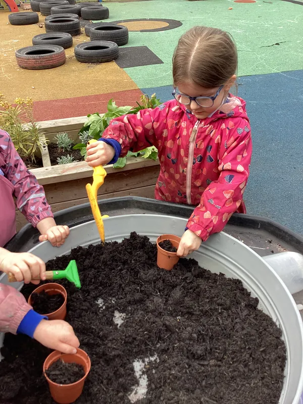 Reception Spring - image 5 Reception Spring - image 5