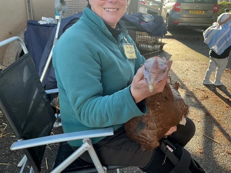 Stella farm on wheels Part 1 - image 39