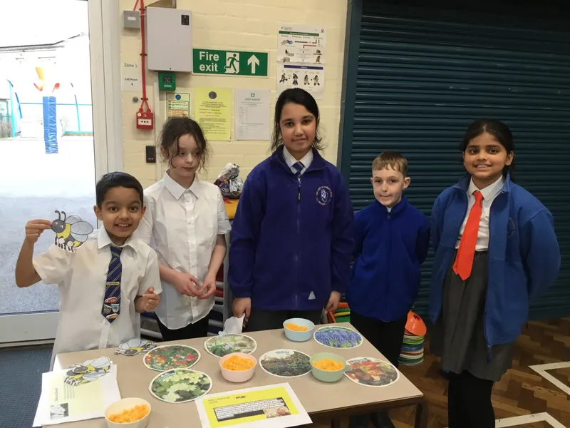 British Science Week - image 15