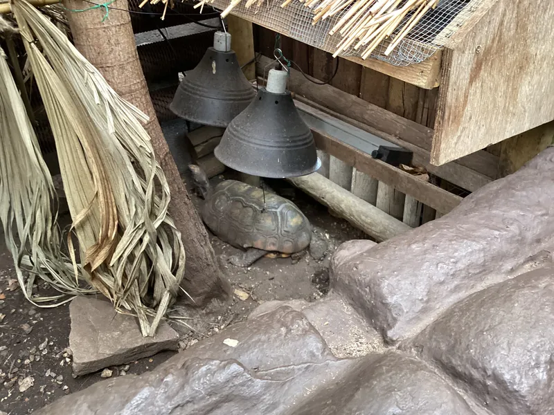 Gallery - created at 2025-03-14 10:11:21 - image 33 Gallery - created at 2025-03-14 10:11:21 - image 33