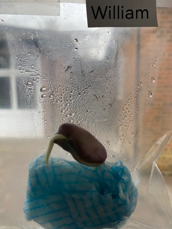 Gallery - created at 2025-03-23 10:29:25 - image 16