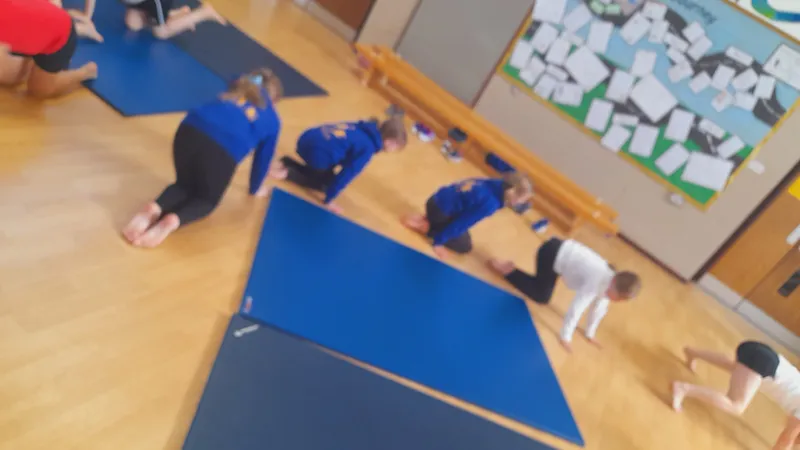 Ospreys have been learning about mirroring and matching in gymnastics - image 4 Ospreys have been learning about mirroring and matching in gymnastics - image 4