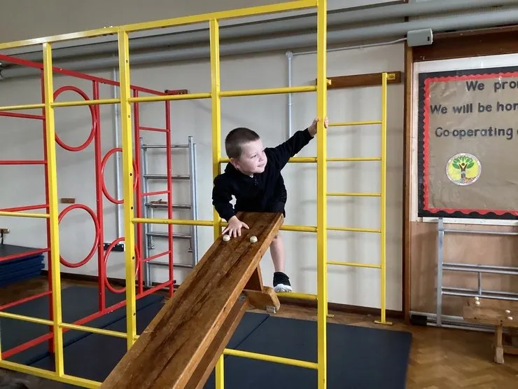 Maple Class - image 38