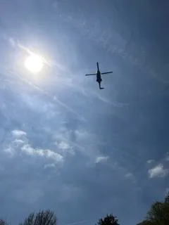 Gallery - created at 2023-05-03 15:44:55 - image 8