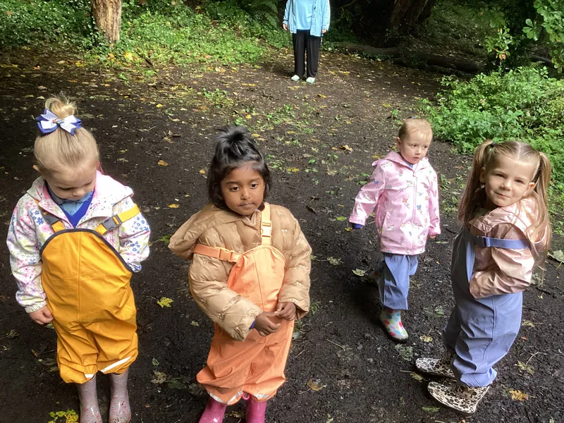 Nursery Fun in the Woods - image 11 Nursery Fun in the Woods - image 11
